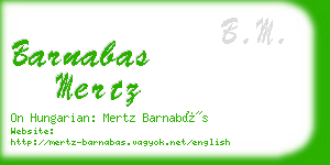 barnabas mertz business card